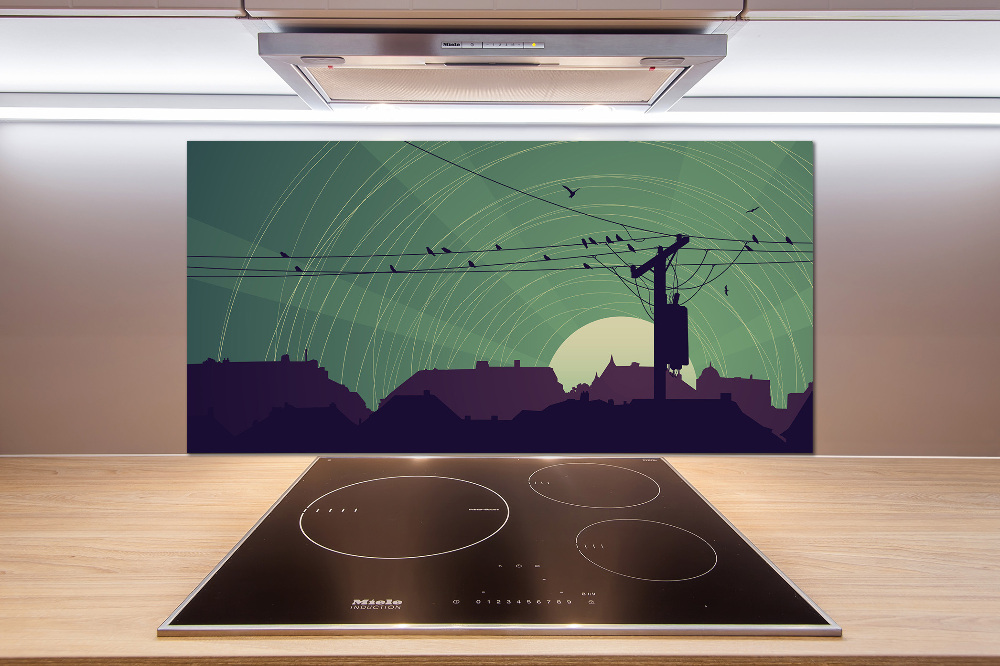 Cooker splashback Birds city