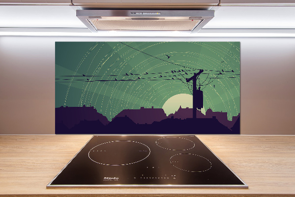 Cooker splashback Birds city