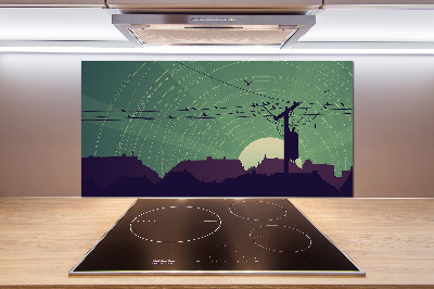 Cooker splashback Birds city