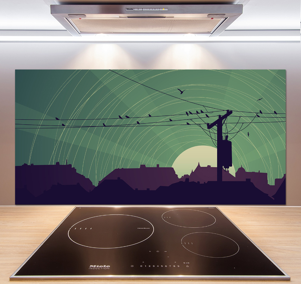 Cooker splashback Birds city