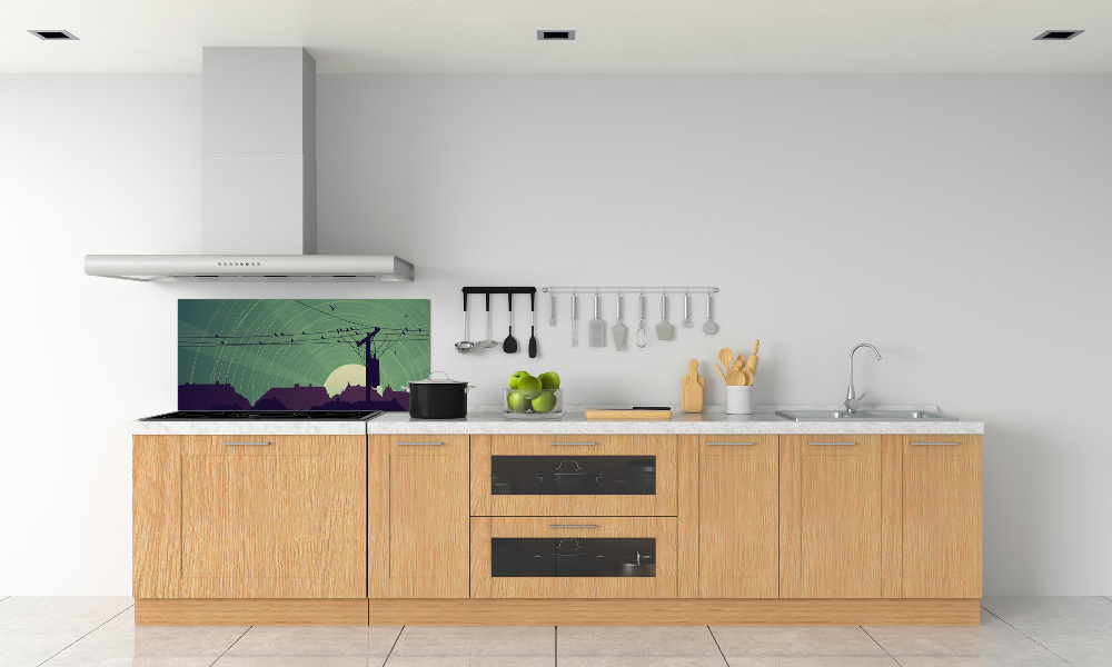 Cooker splashback Birds city