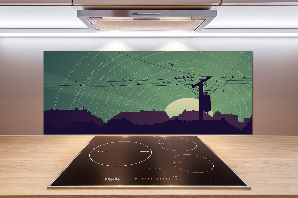 Cooker splashback Birds city