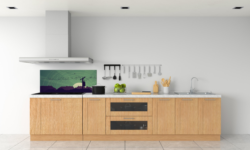 Cooker splashback Birds city