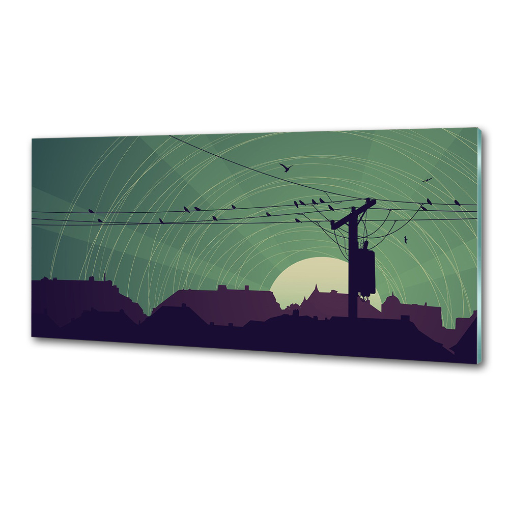 Cooker splashback Birds city