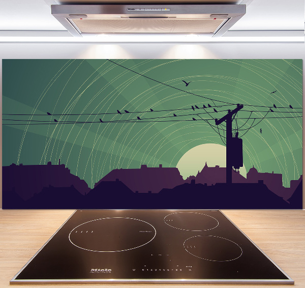 Cooker splashback Birds city