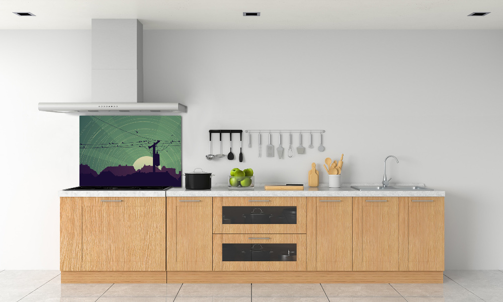 Cooker splashback Birds city