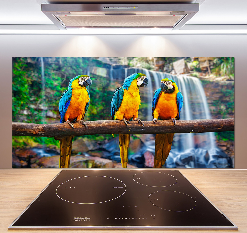 Cooker splashback Parrots on a branch