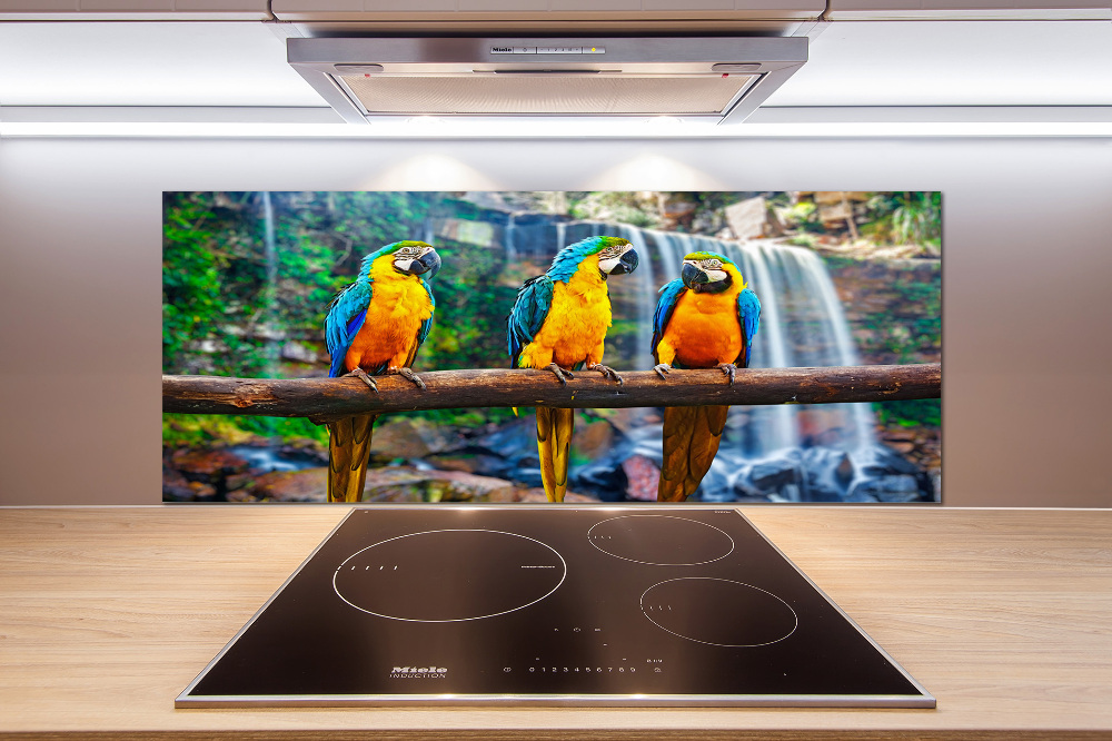 Cooker splashback Parrots on a branch