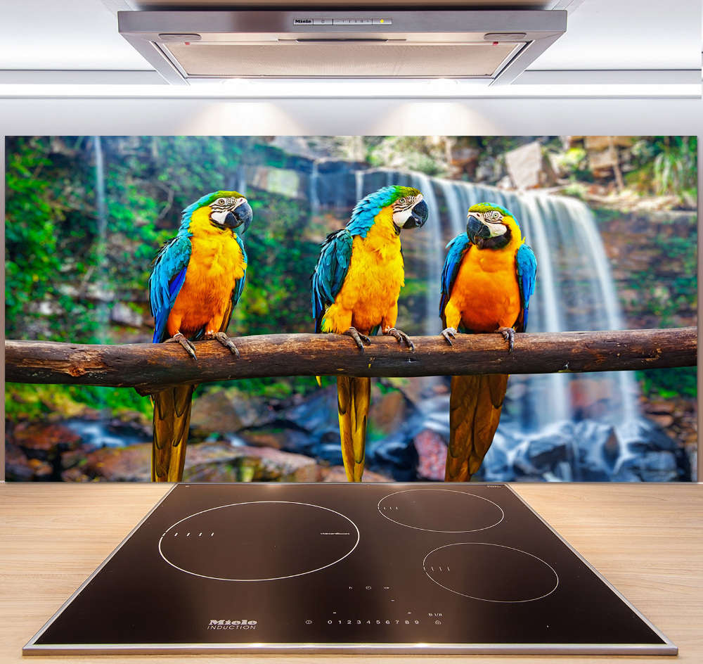 Cooker splashback Parrots on a branch