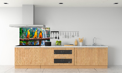 Cooker splashback Parrots on a branch