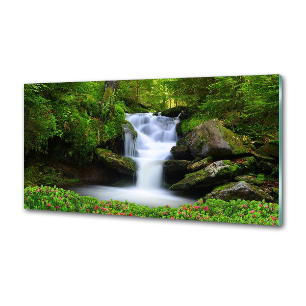 Kitchen splashback Waterfall in the forest