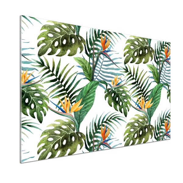 Cooker splashback Tropical flowers