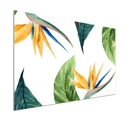 Cooker splashback Tropical flowers