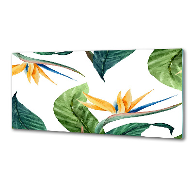 Cooker splashback Tropical flowers