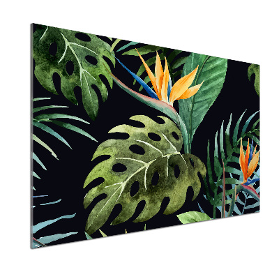 Cooker splashback Tropical flowers