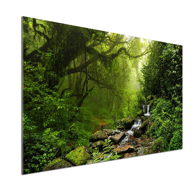 Kitchen splashback Jungle in Nepal