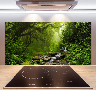 Kitchen splashback Jungle in Nepal