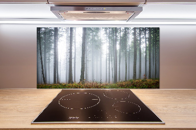 Kitchen splashback Fog in the forest