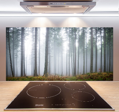 Kitchen splashback Fog in the forest