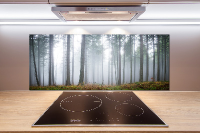 Kitchen splashback Fog in the forest