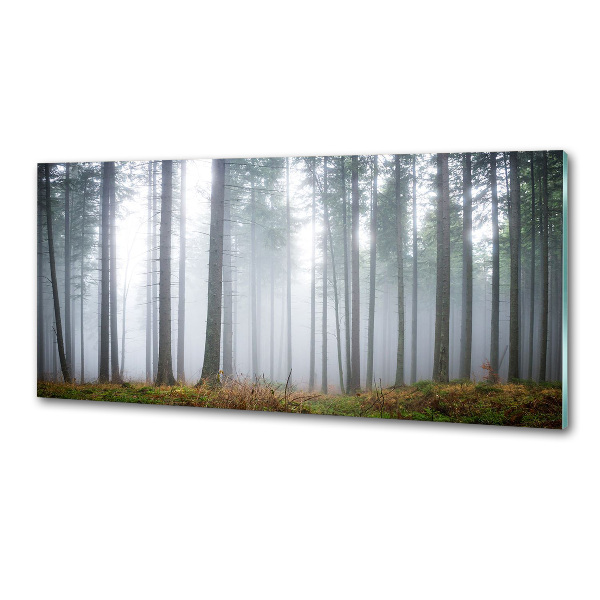 Kitchen splashback Fog in the forest