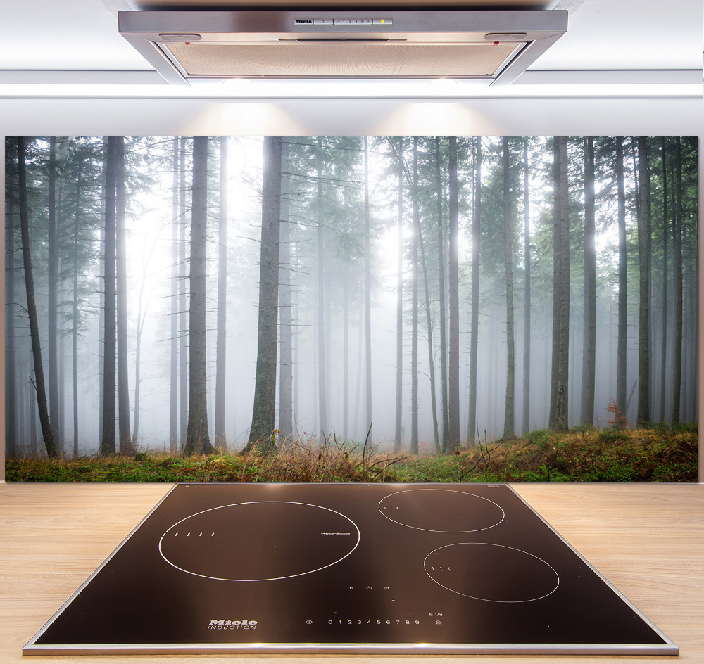 Kitchen splashback Fog in the forest