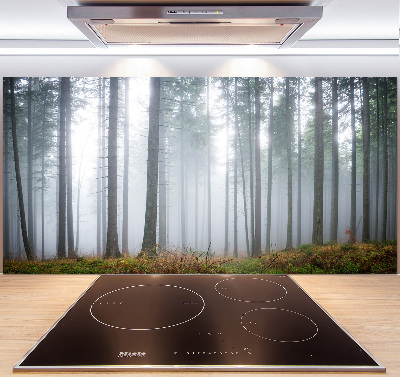 Kitchen splashback Fog in the forest