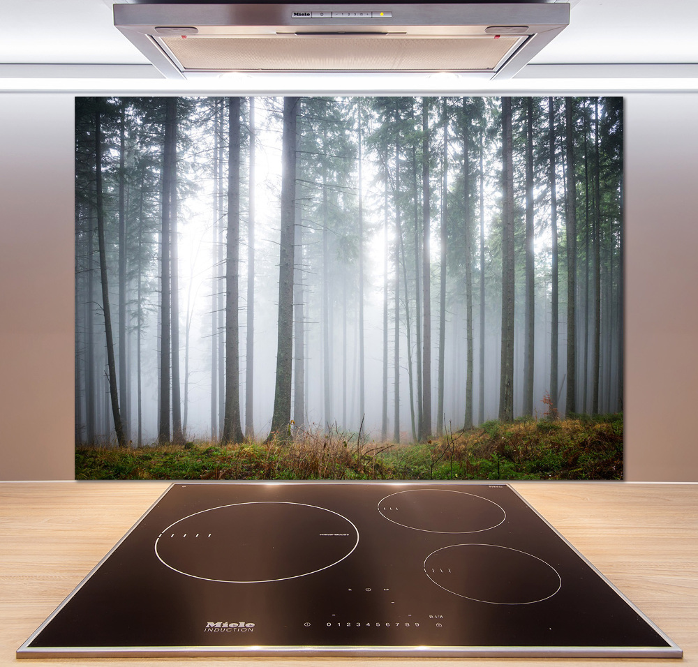 Kitchen splashback Fog in the forest