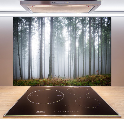 Kitchen splashback Fog in the forest