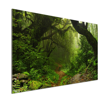 Kitchen splashback Jungle in Nepal