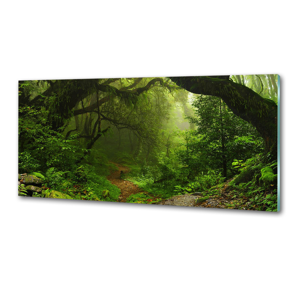 Kitchen splashback Jungle in Nepal