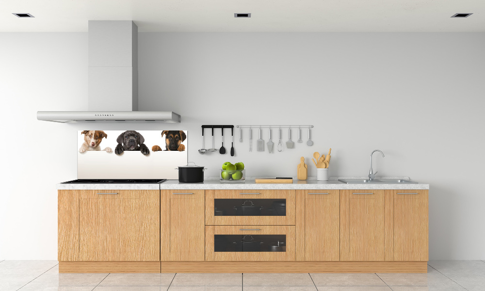 Glass splashback Three puppies