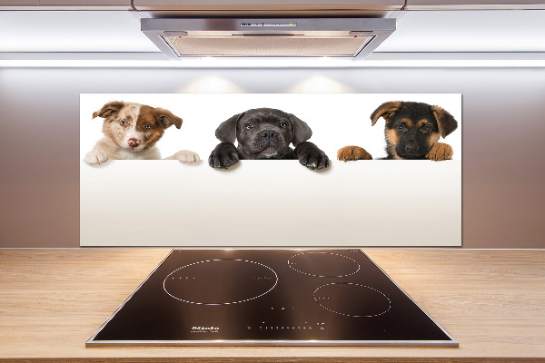 Glass splashback Three puppies