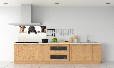 Glass splashback Three puppies