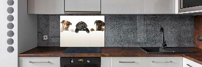 Glass splashback Three puppies