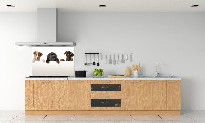 Glass splashback Three puppies