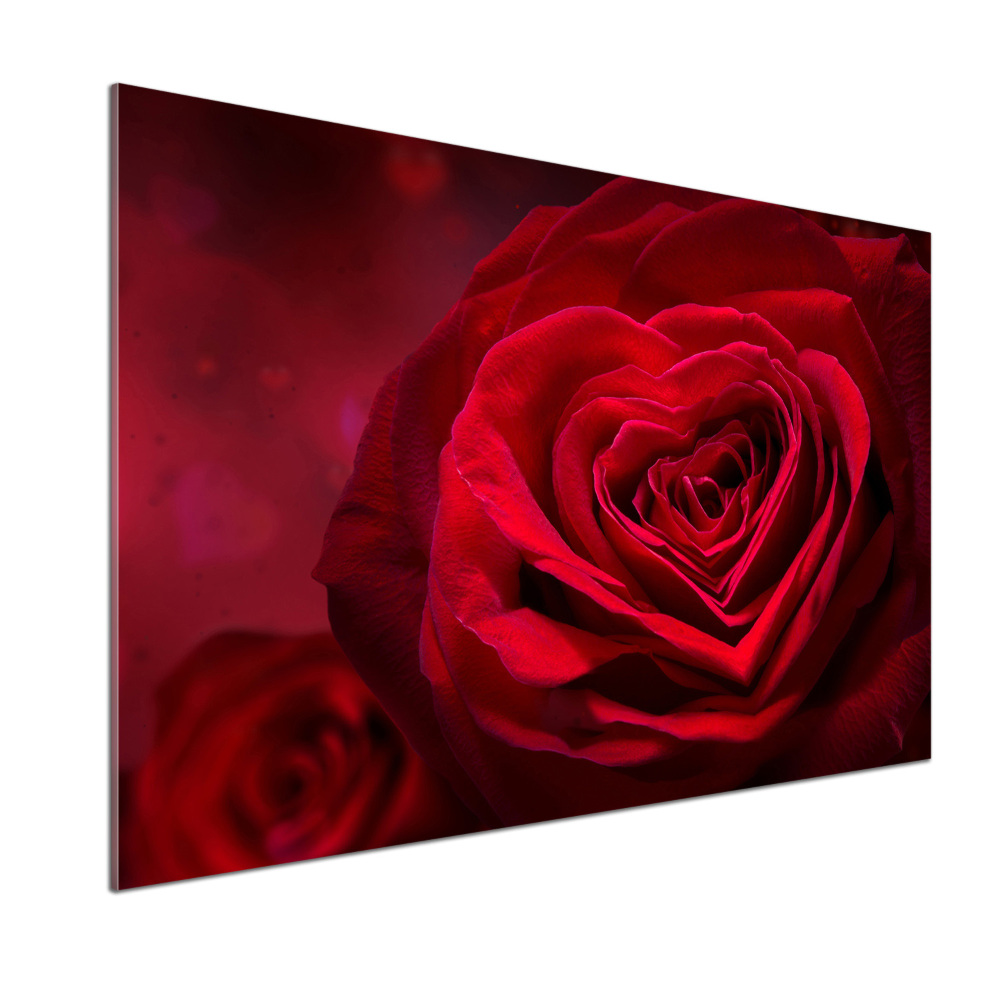 Cooker splashback Red heart rose