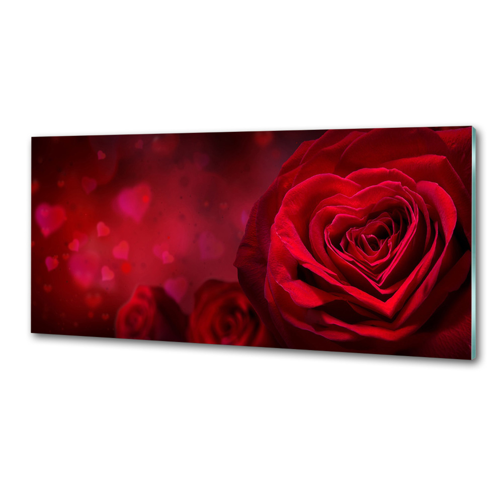 Cooker splashback Red heart rose