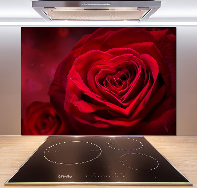 Cooker splashback Red heart rose