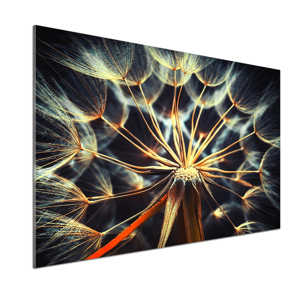 Cooker splashback dandelions