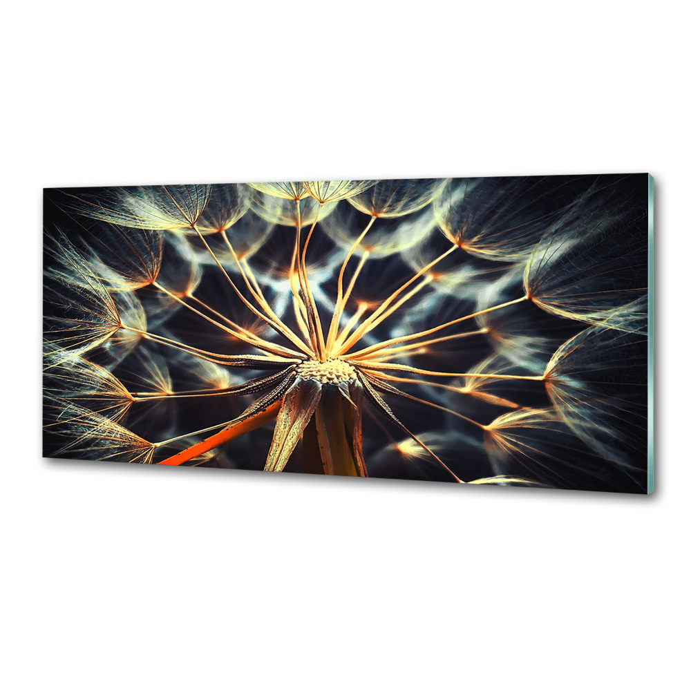 Cooker splashback dandelions