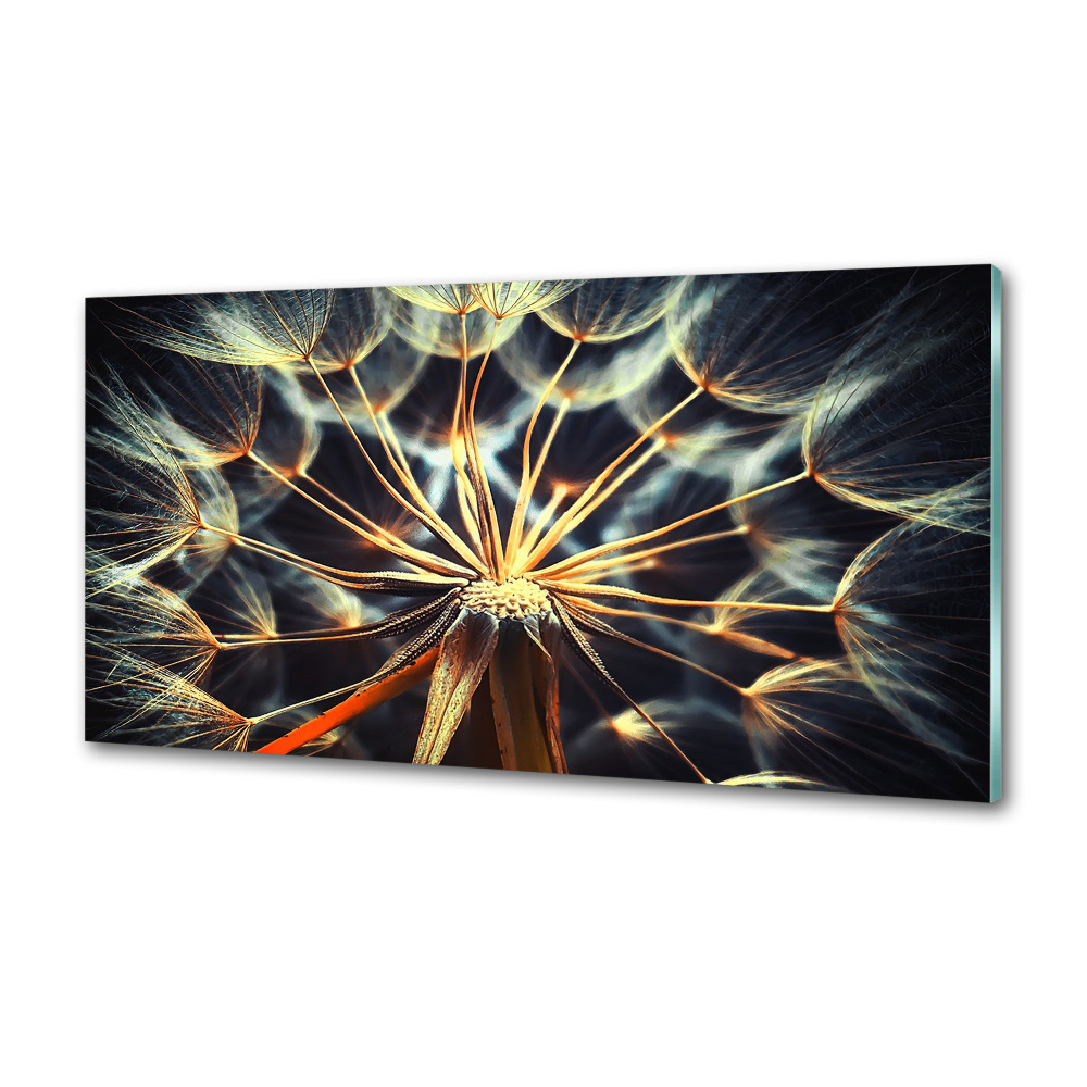 Cooker splashback dandelions