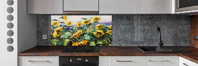 Cooker splashback Sunflowers