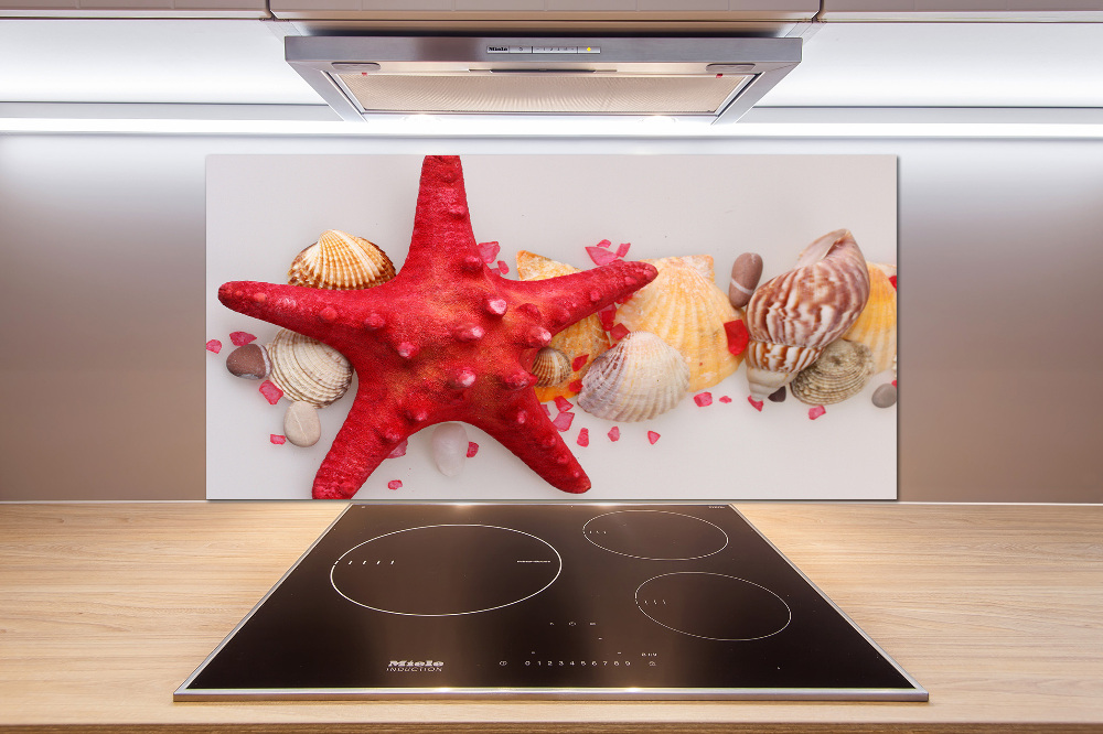 Kitchen splashback Starfish and shells