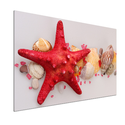 Kitchen splashback Starfish and shells