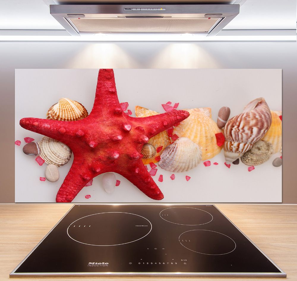 Kitchen splashback Starfish and shells