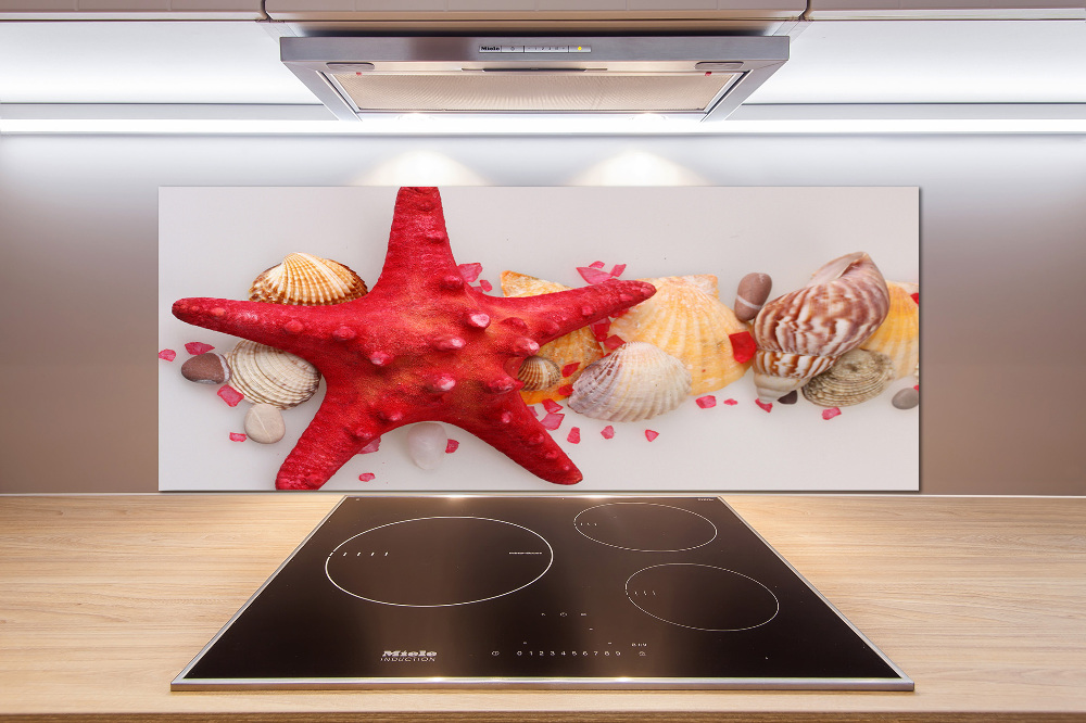 Kitchen splashback Starfish and shells