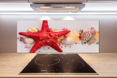 Kitchen splashback Starfish and shells