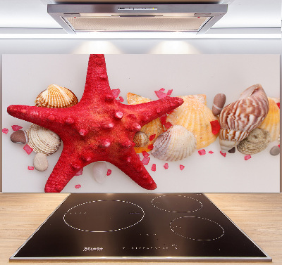 Kitchen splashback Starfish and shells