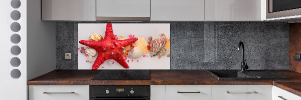 Kitchen splashback Starfish and shells